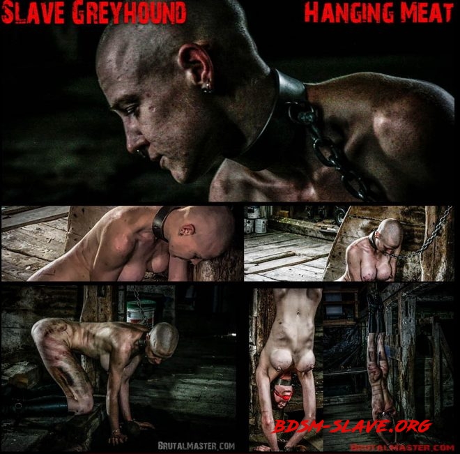 Brutal Master Hanging Meat: Slave Greyhound [FullHD/2019]