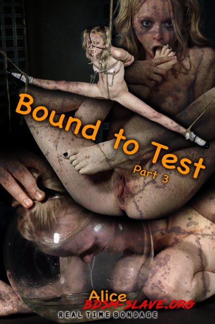Bound to Test 3 (REAL TIME BONDAGE) [HD/2020]