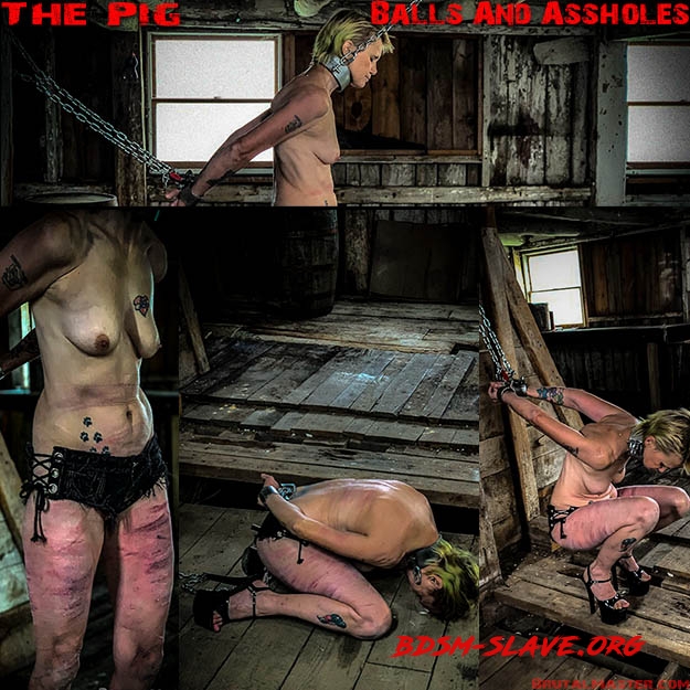 The Pig – Balls And Assholes (BrutalMaster) [FullHD/2020]