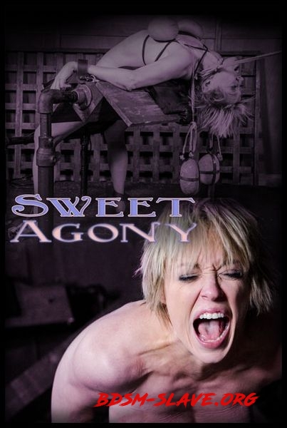 Sweet Agony Part 3 Actress - Dee Williams [HD/2017]