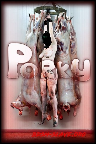Porky Actress - Samsara [HD/2020]