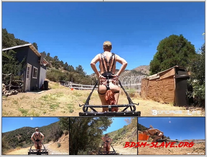 Pony Cart Ride Actress - Rachel Greyhound (Bondage Life) [HD/2020]