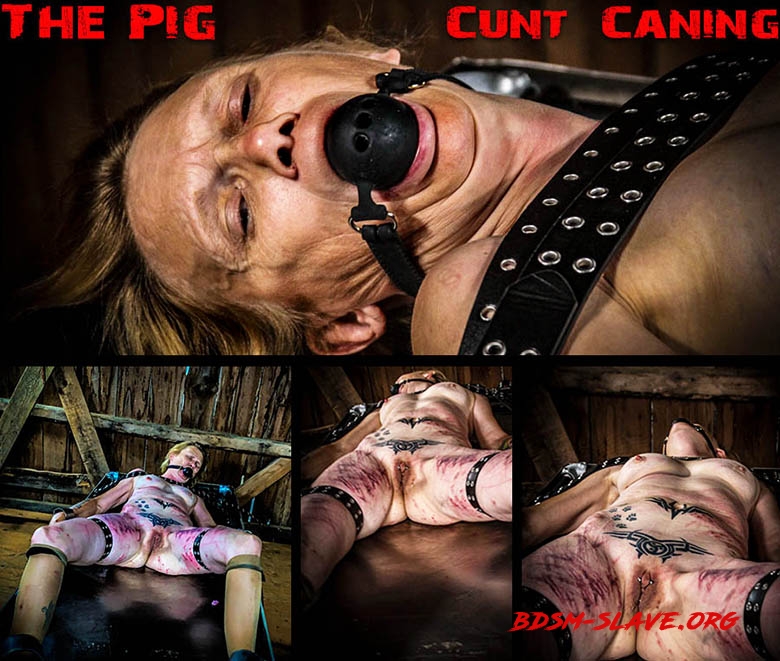 The Pig – Cunt Caning (BrutalMaster) [FullHD/2020]