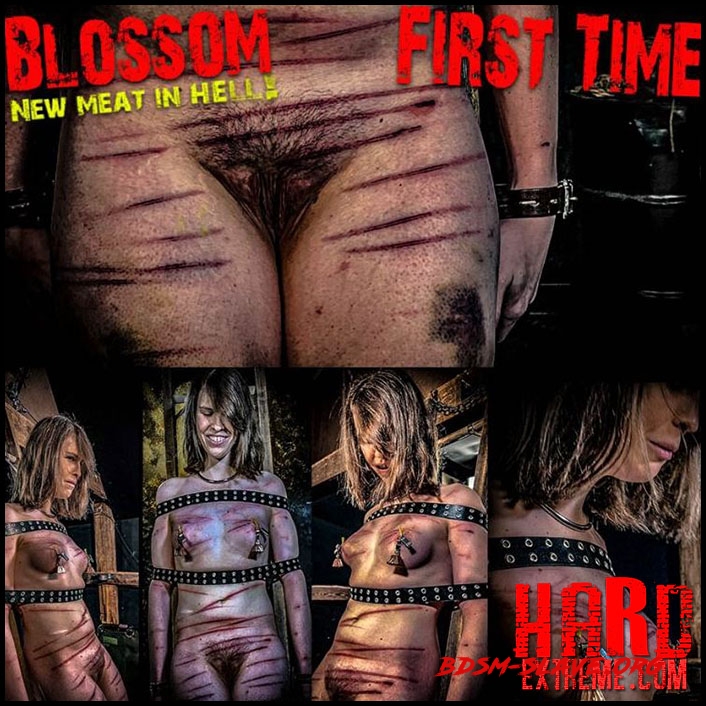 NEW MEAT Blossom First Time (Chapter One) (BrutalMaster) [FullHD/2021]
