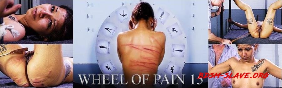 Wheel of Pain 15 (ElitePain) [FullHD/2022]